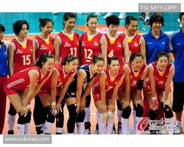 杭州排球队实力分析：聚焦他们的训练与比赛表现