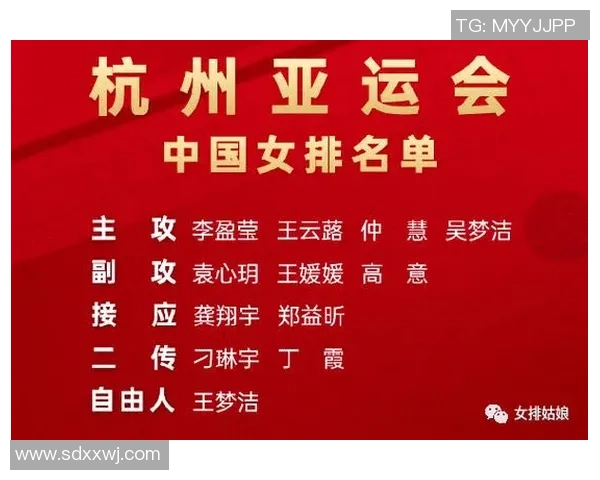 杭州排球队配合策略深度解析与对比研究